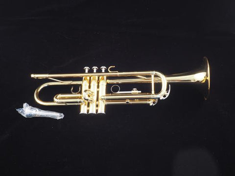Yamaha YTR 200AD Trumpet #2818