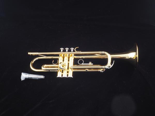 Yamaha YTR200AD Trumpet #2795