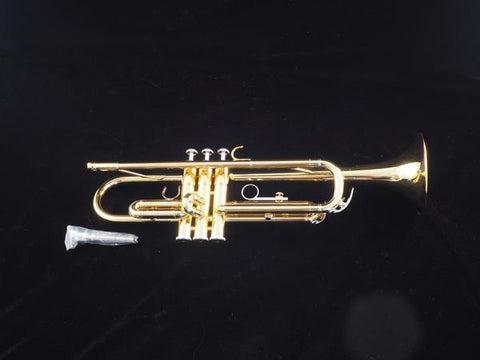 Yamaha YTR200AD Trumpet #2795