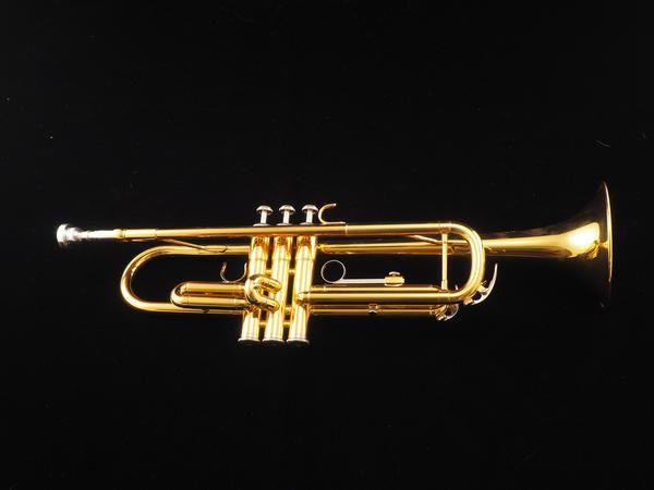 Yamaha Trumpet Yamaha YTR200AD Trumpet #2617